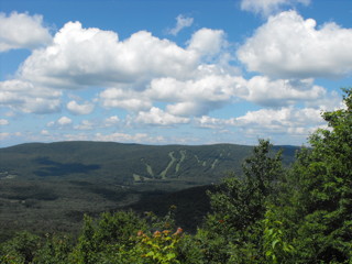 Mt Greylock Trail