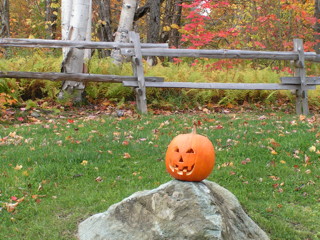 Pumpkin Head 