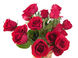 Red Roses, pure and simple